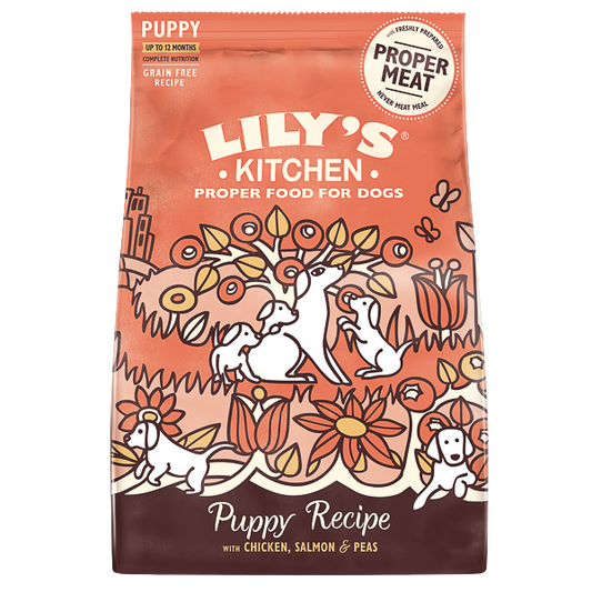 Hrană uscată câini Lily's Kitchen - Junior - Pui și Somon - 1 kg