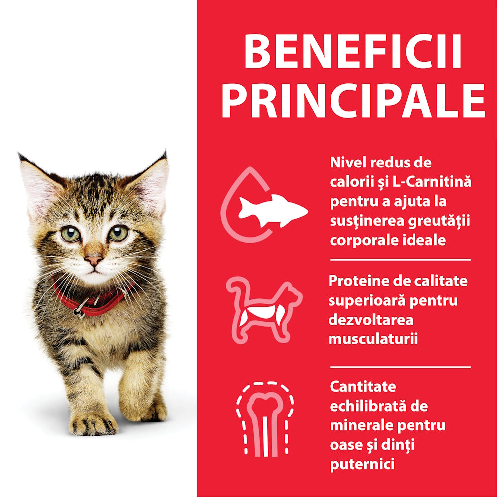 Hrană umedă pisică Hill's - Junior - Curcan - 85 g